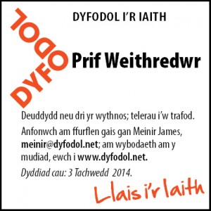 prif weithredwr Dyfodol i'r Iaith